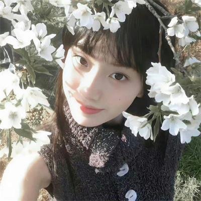 菜单（影片）